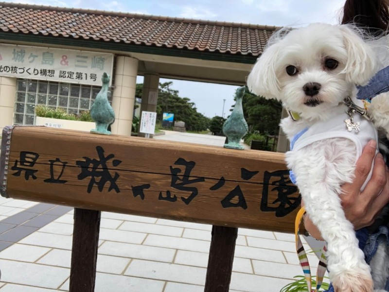 神奈川県三浦市にある「城ヶ島公園」をお散歩！